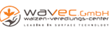 wavec_BE.png